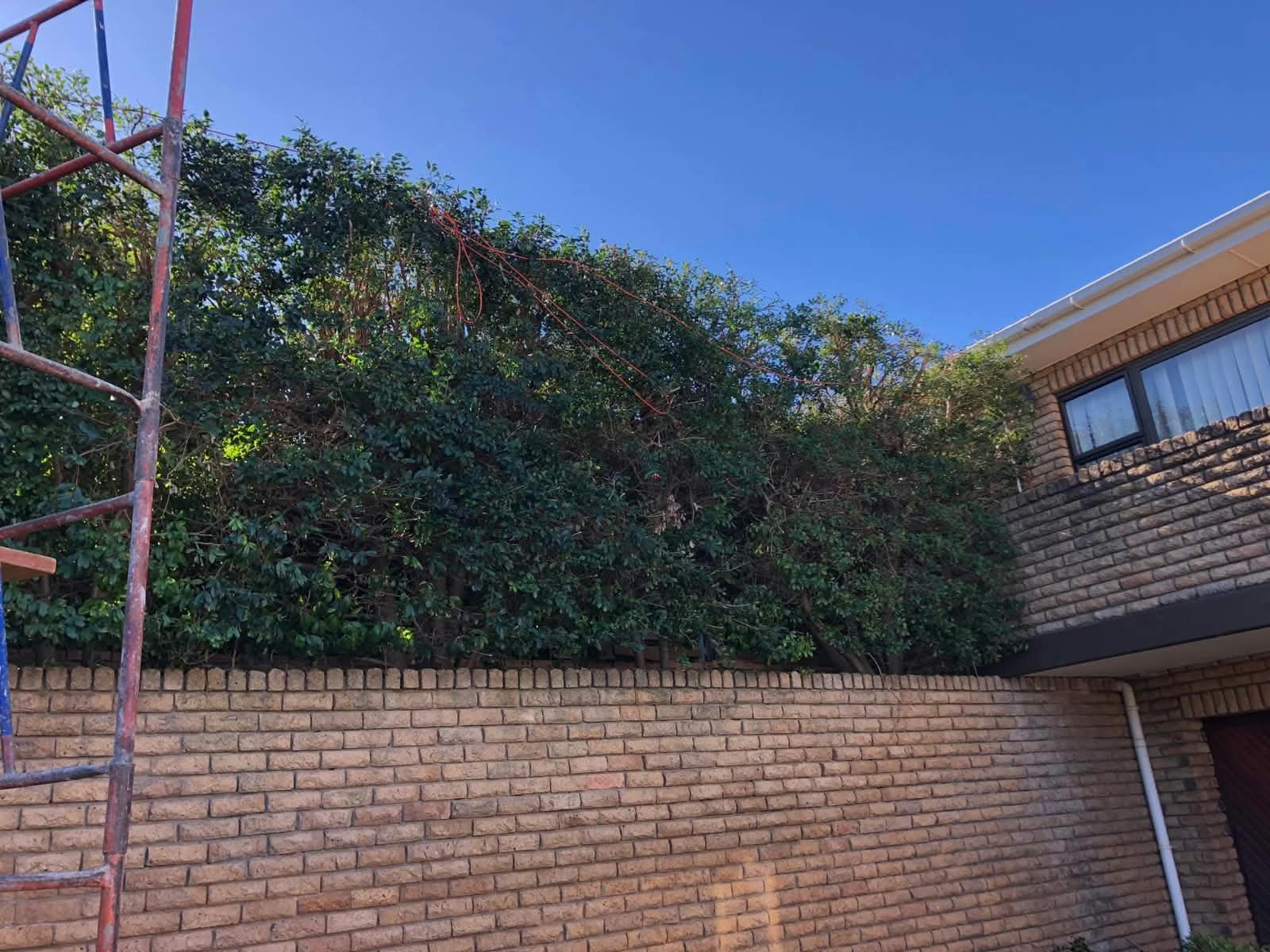 Tall brick boundary wall built next to a residential home